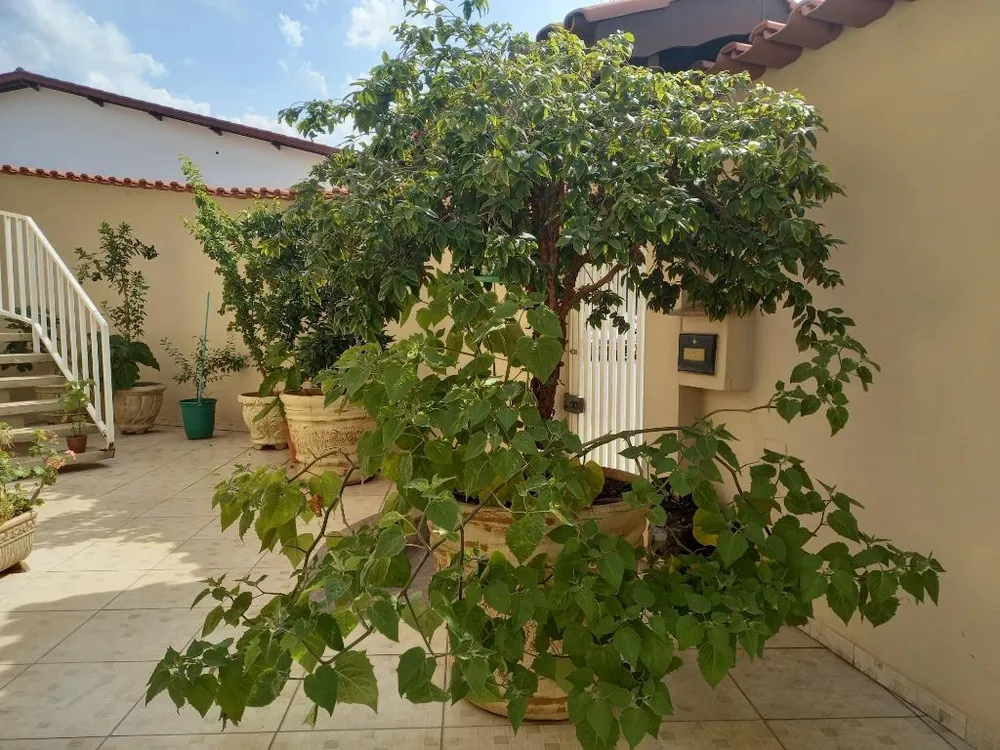 Casa, 6 quartos, 283 m² - Foto 4