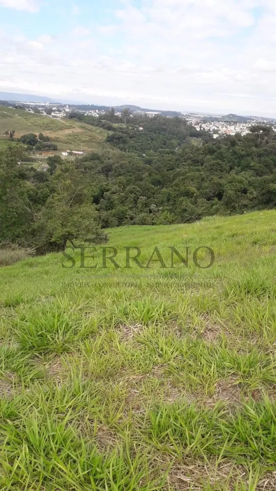 Haras e Área Rural Padrão à venda, 20000m² - Foto 1