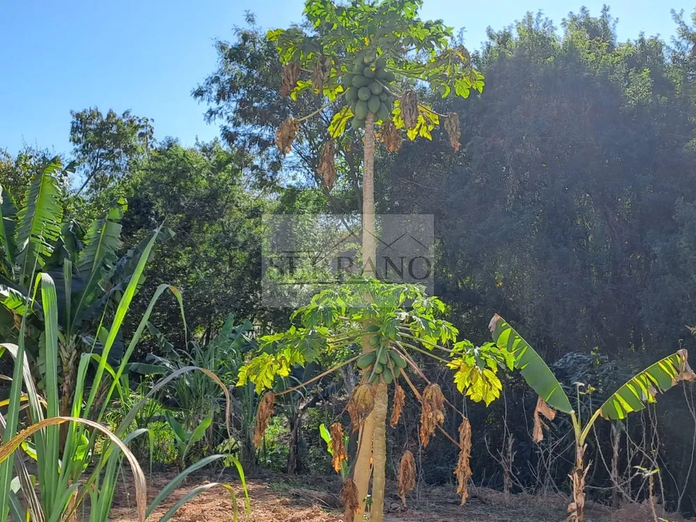 Terreno, 1190 m² - Foto 4