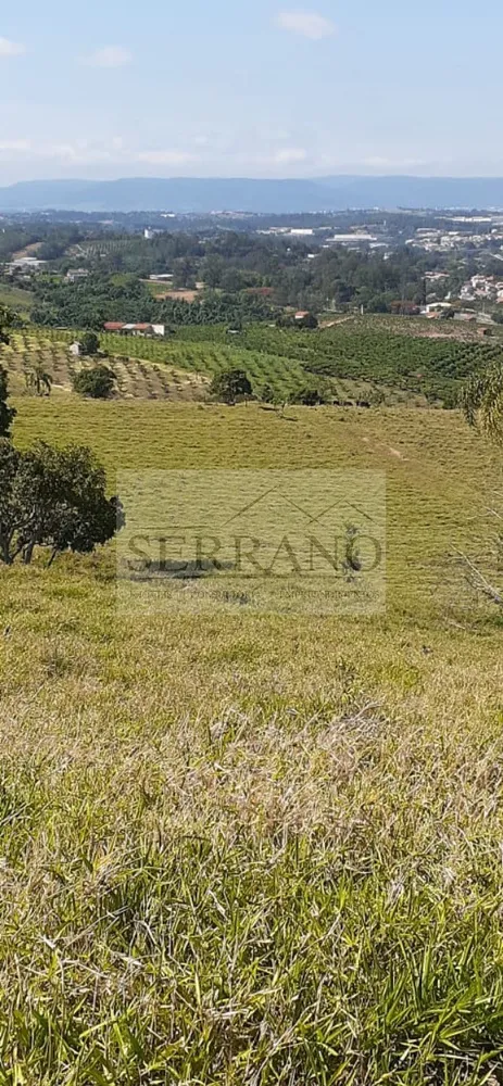 Terreno, 9 hectares - Foto 15