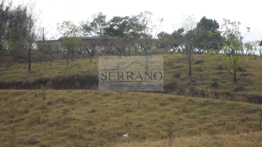 Terreno, 9 hectares - Foto 11