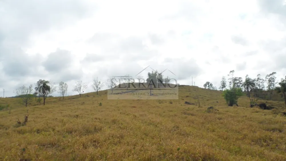 Terreno, 9 hectares - Foto 6