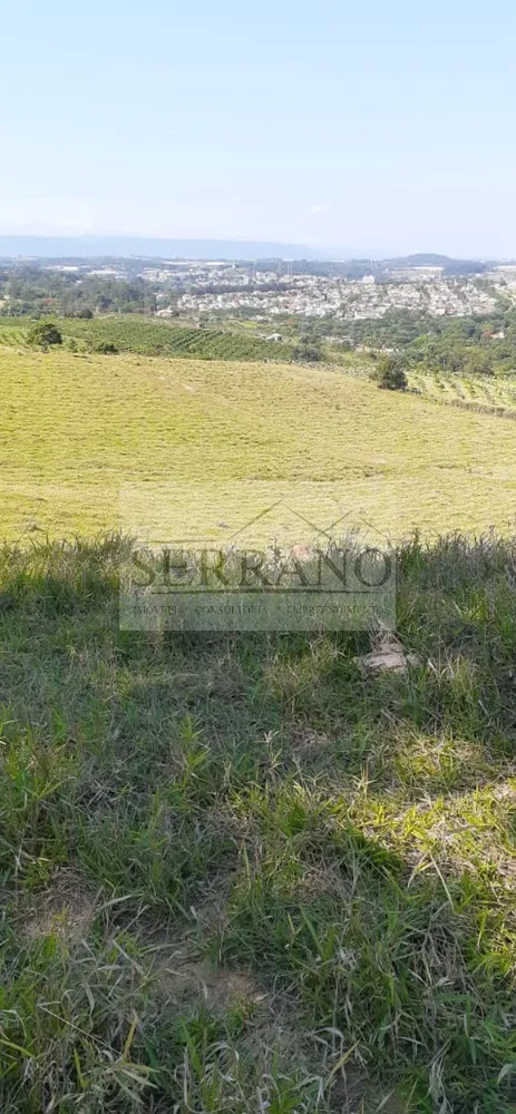 Terreno, 9 hectares - Foto 12