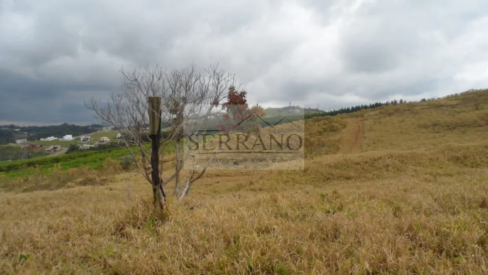 Terreno, 9 hectares - Foto 9