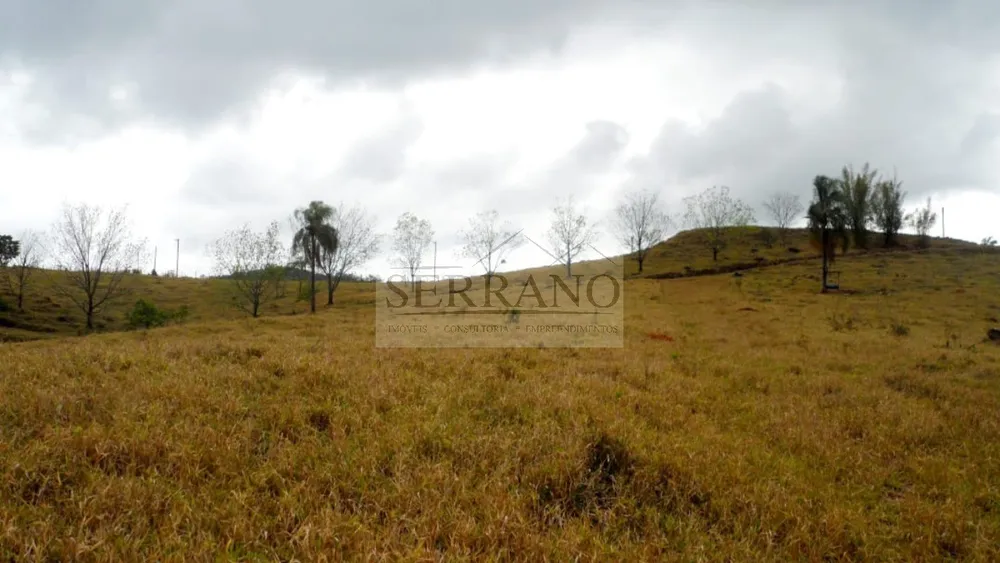 Terreno, 9 hectares - Foto 7