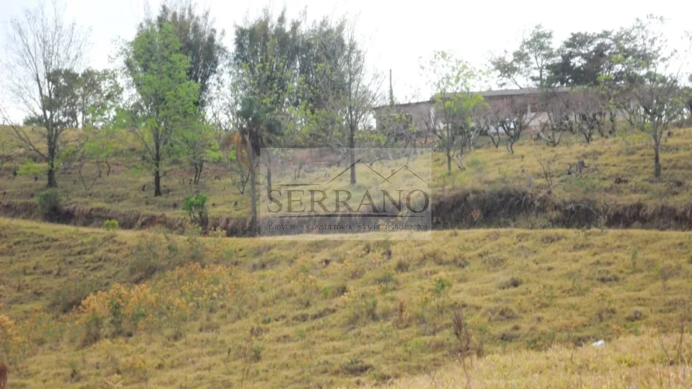 Terreno, 9 hectares - Foto 11