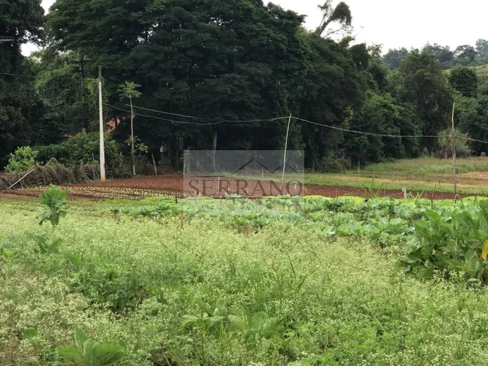 Haras e Área Rural Padrão à venda, 57000m² - Foto 6