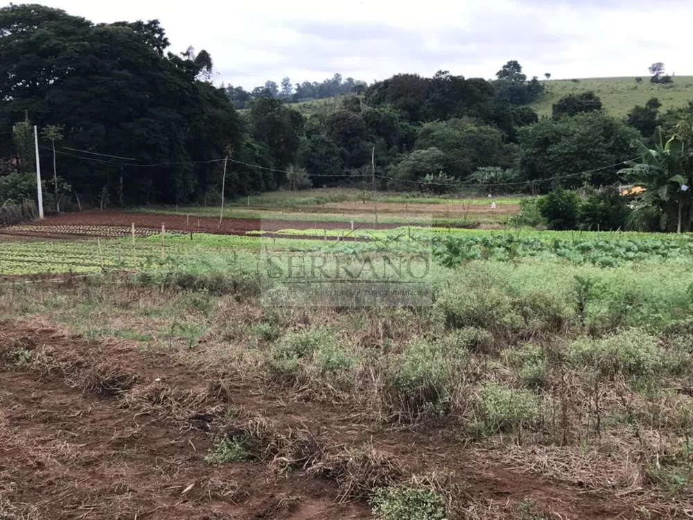 Haras e Área Rural Padrão à venda, 57000m² - Foto 3