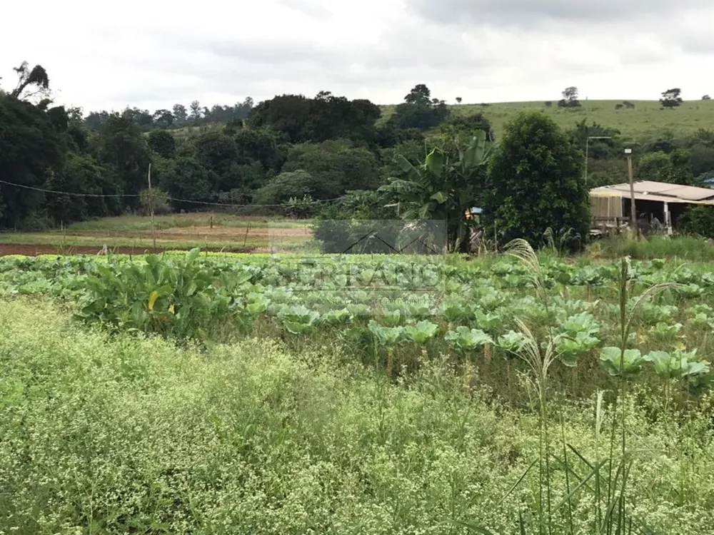 Haras e Área Rural Padrão à venda, 57000m² - Foto 5