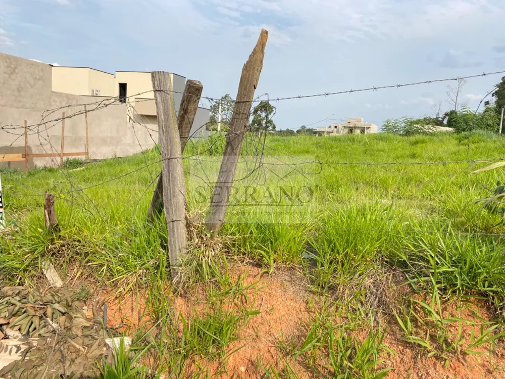 Terreno à venda, 250m² - Foto 2