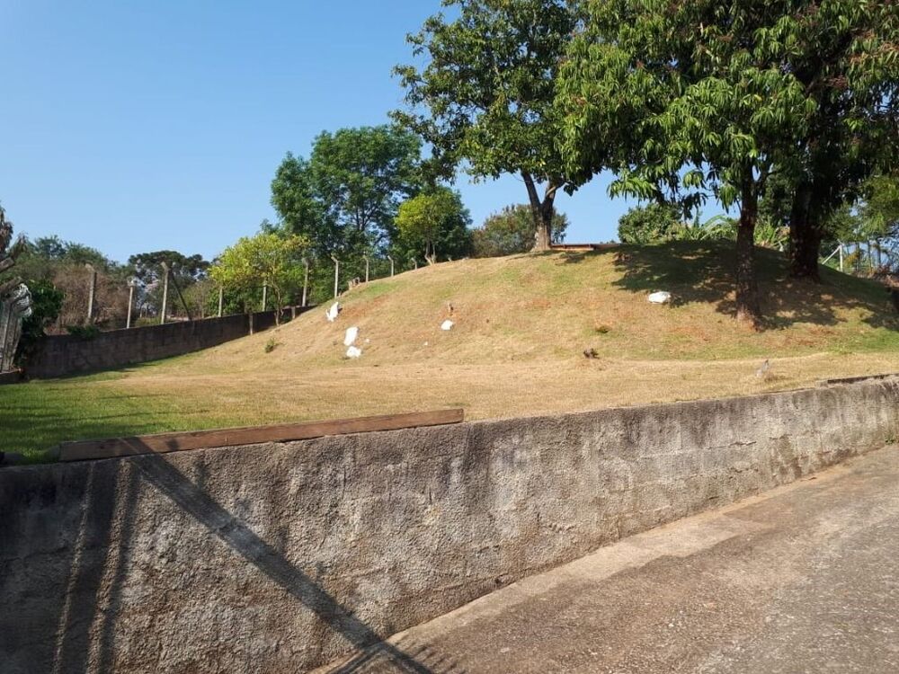 Terreno, 1320 m² - Foto 2