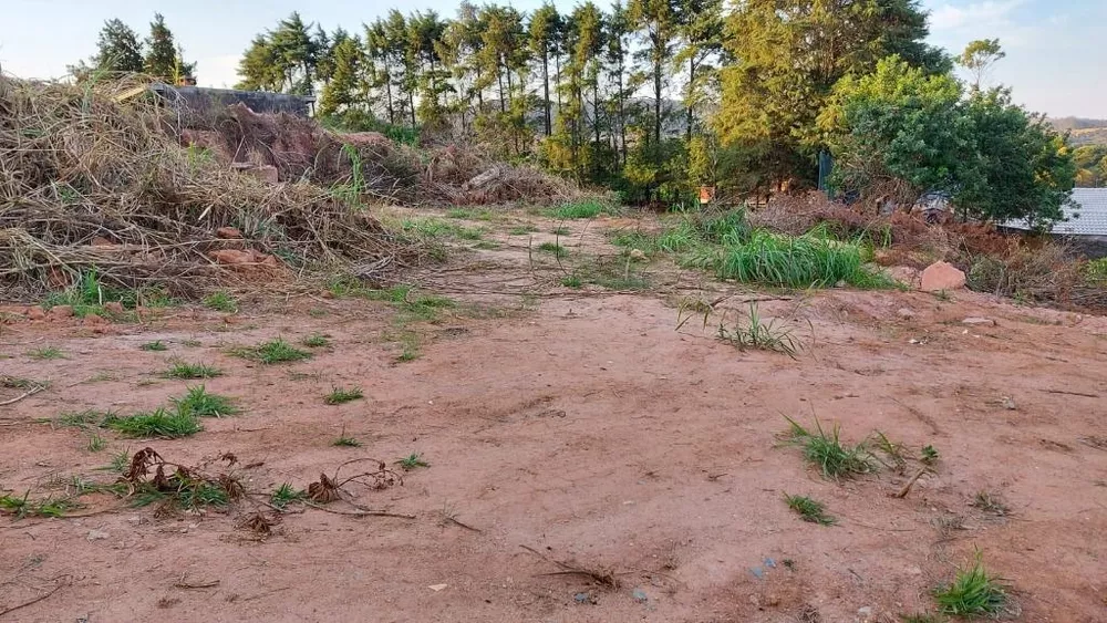 Terreno à venda, 1000m² - Foto 2