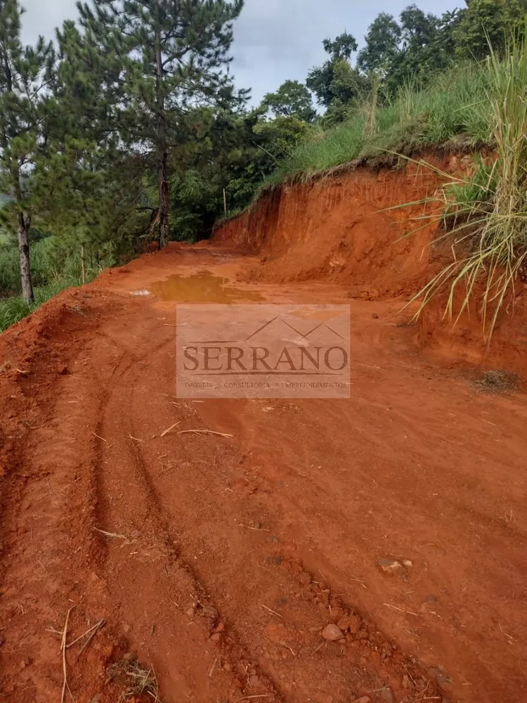 Terreno à venda, 1000m² - Foto 2