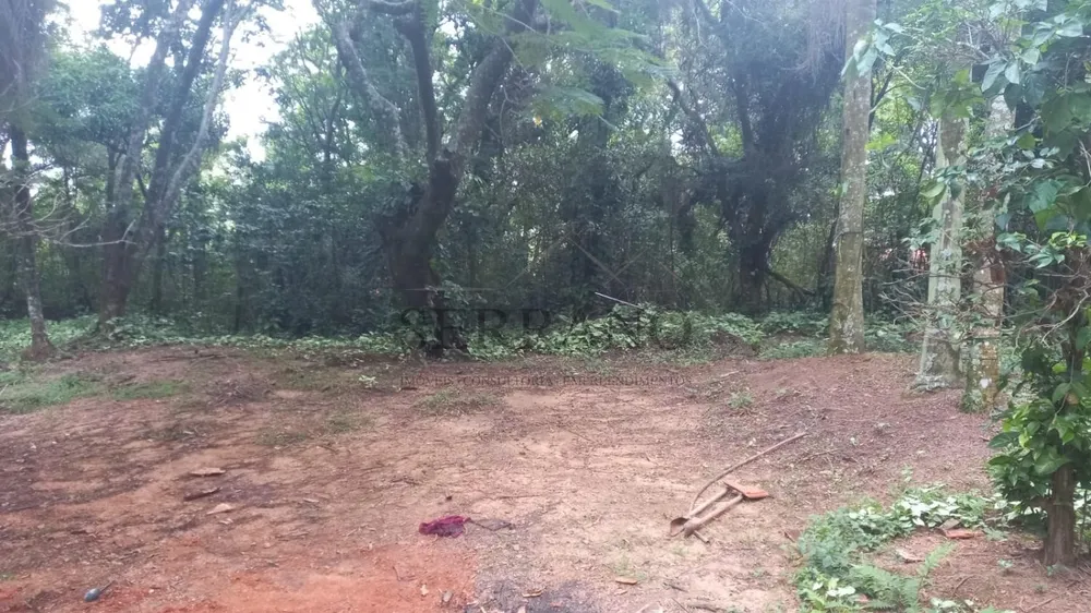 Terreno, 1 hectares - Foto 3