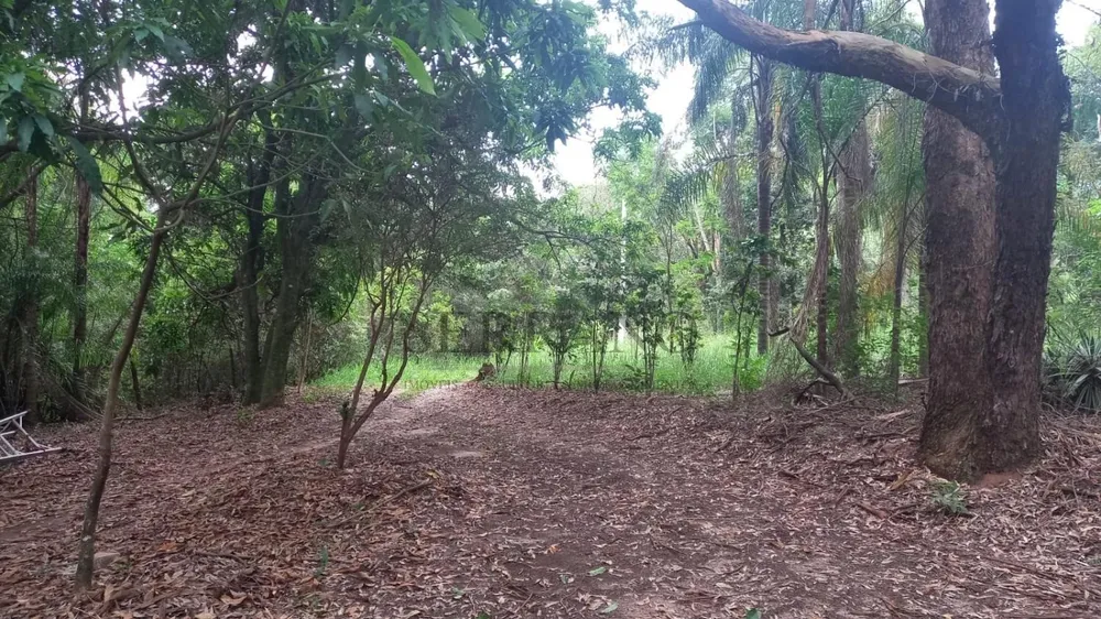Terreno, 1 hectares - Foto 4