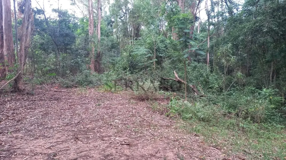 Terreno, 1 hectares - Foto 7