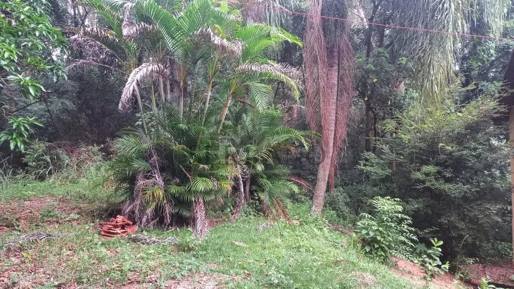 Terreno, 1 hectares - Foto 6