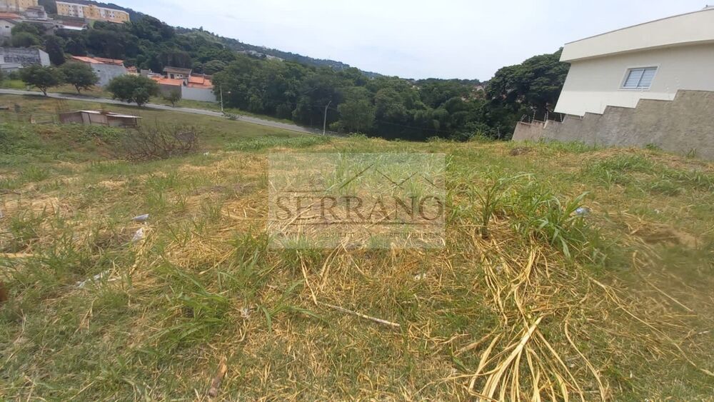 Terreno, 250 m² - Foto 4