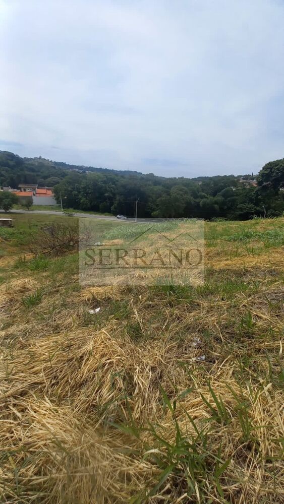 Terreno, 250 m² - Foto 1