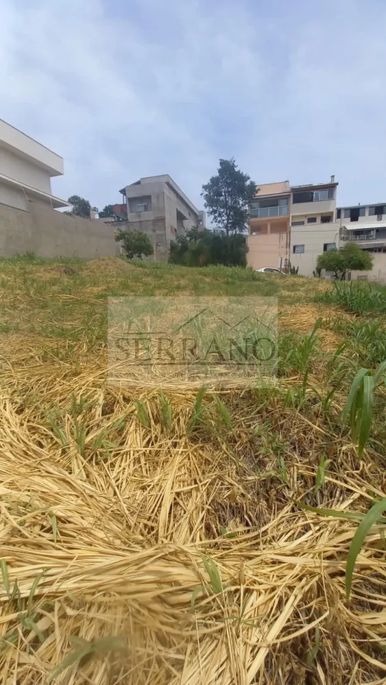 Terreno, 250 m² - Foto 6