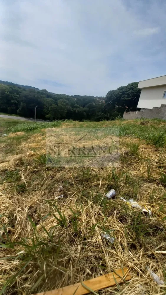 Terreno, 250 m² - Foto 3