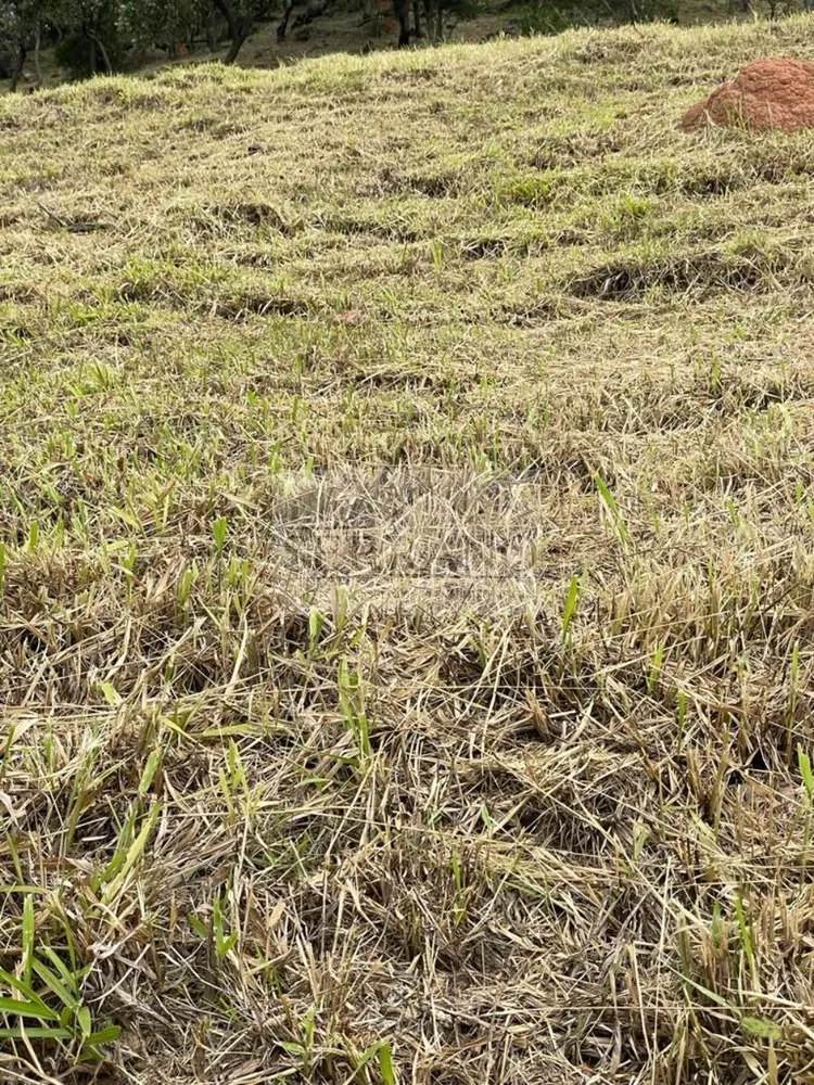 Loteamento e Condomínio, 800 m² - Foto 6