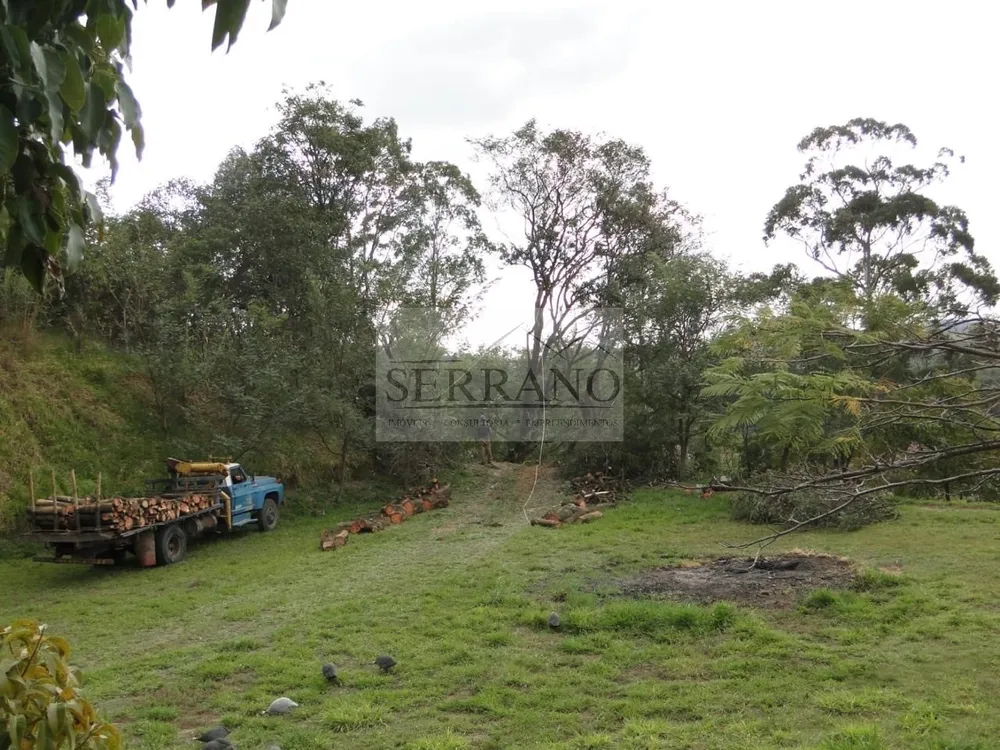 Terreno, 2 hectares - Foto 6