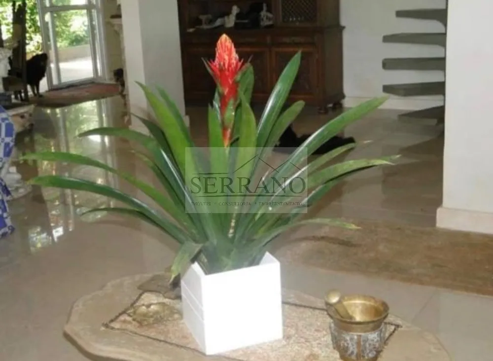 Terreno, 2 hectares - Foto 15