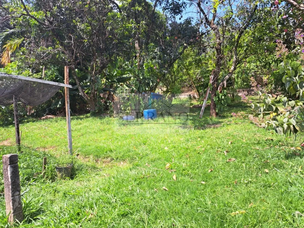 Chácara, 3 quartos - Foto 1