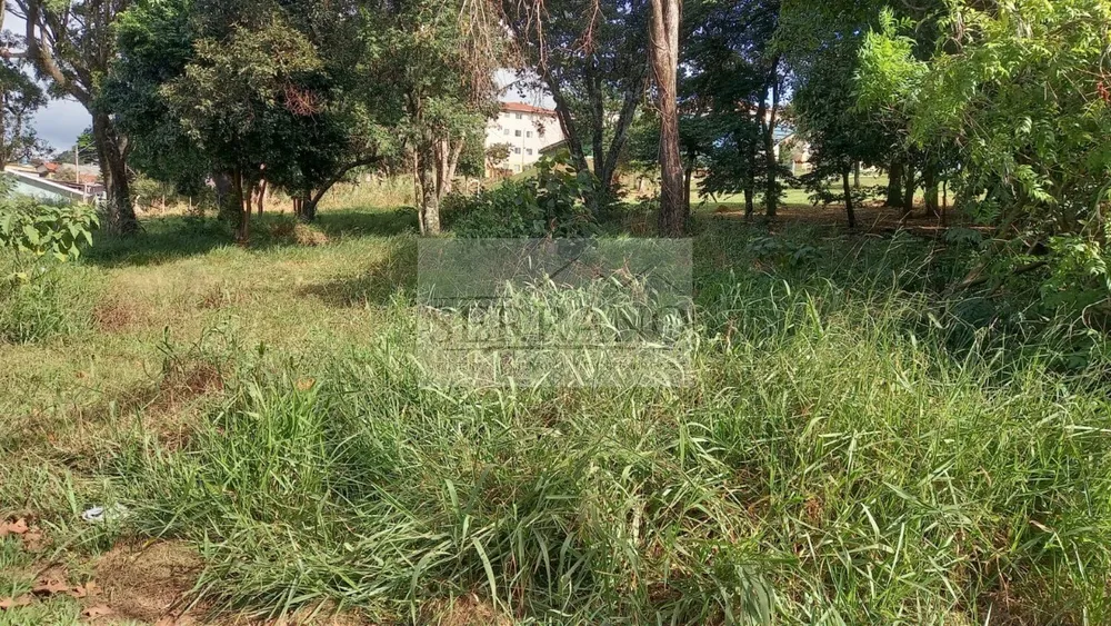 Terreno, 443 m² - Foto 5
