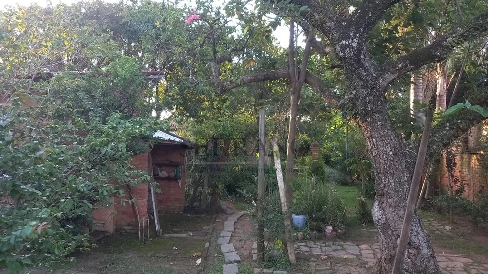 Casa, 4 quartos, 400 m² - Foto 6