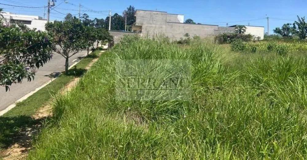 Terreno, 250 m² - Foto 5