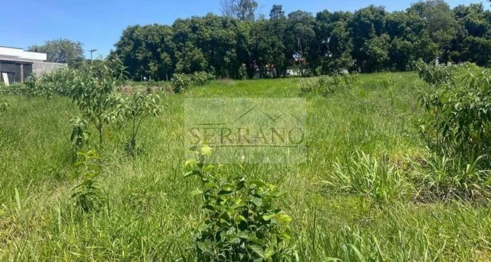 Terreno, 250 m² - Foto 4