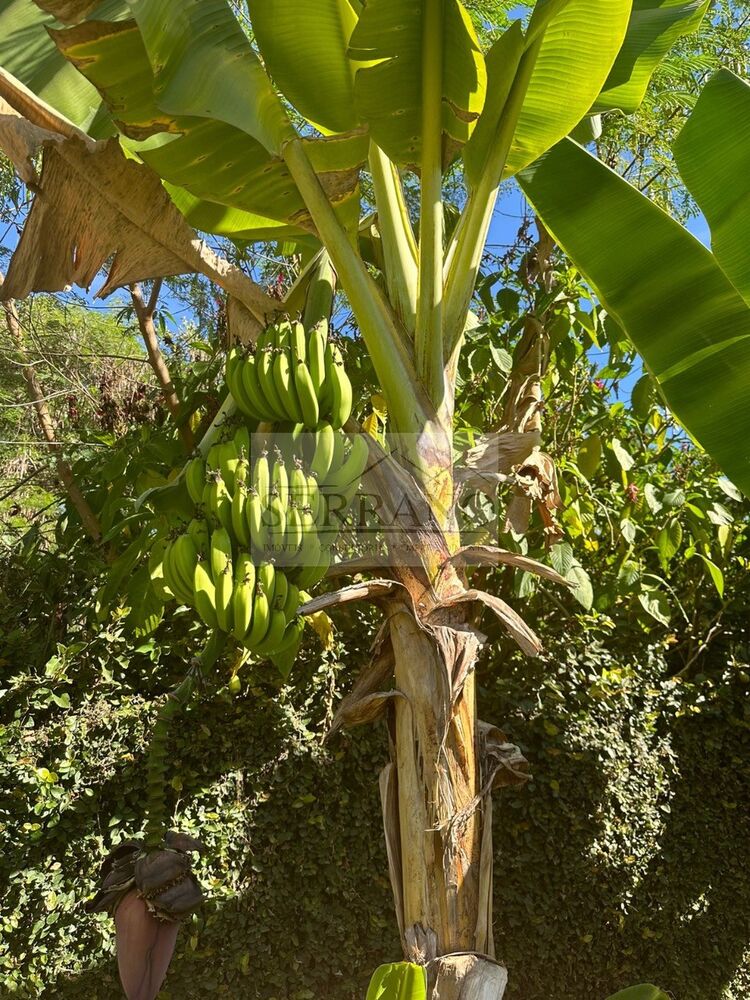 Casa de Condomínio à venda com 3 quartos - Foto 5