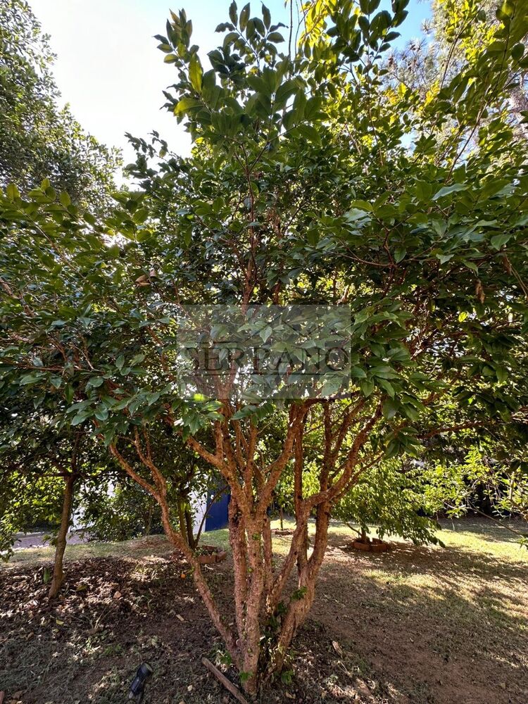 Casa de Condomínio à venda com 3 quartos - Foto 9