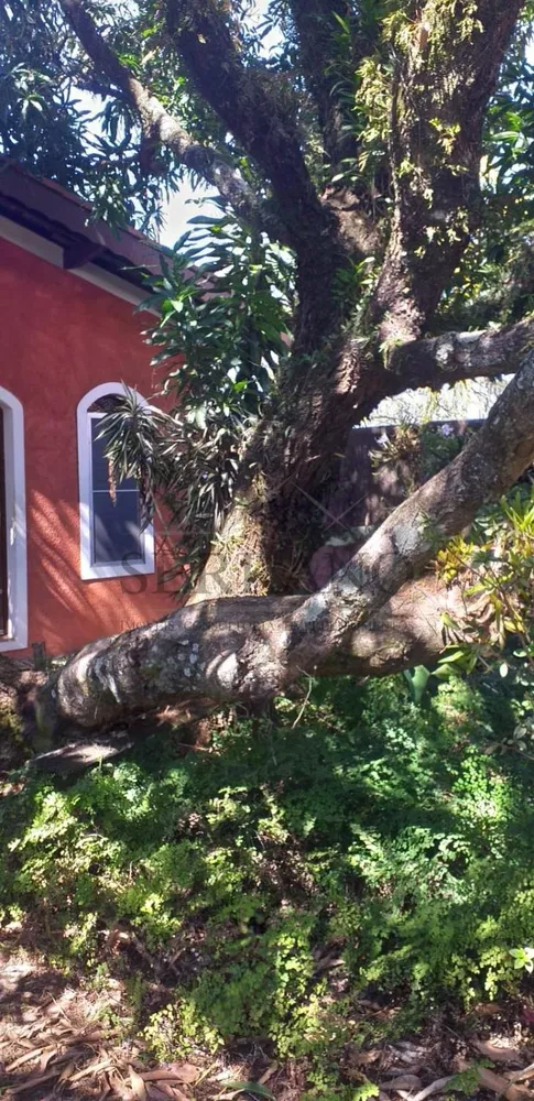 Chácara, 3 quartos, 157 m² - Foto 15