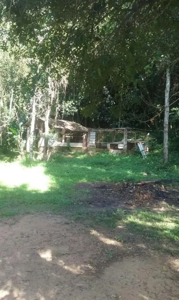 Sítio, 3 quartos - Foto 12
