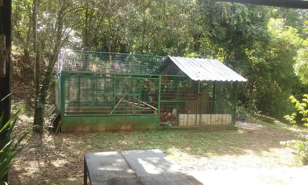 Sítio, 3 quartos - Foto 4