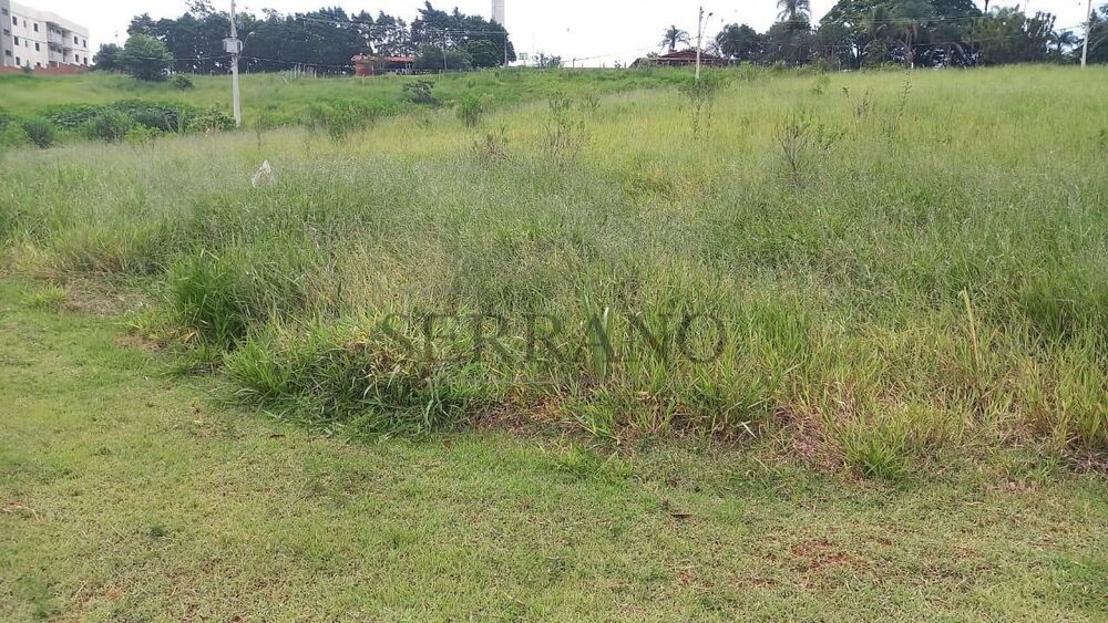 Terreno, 294 m² - Foto 1