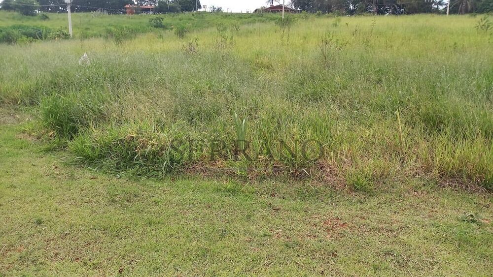 Terreno, 294 m² - Foto 4