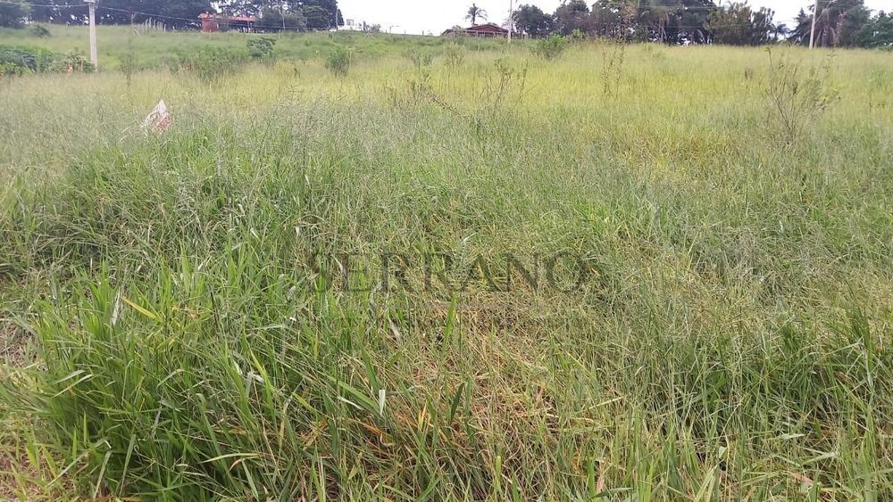 Terreno, 294 m² - Foto 3