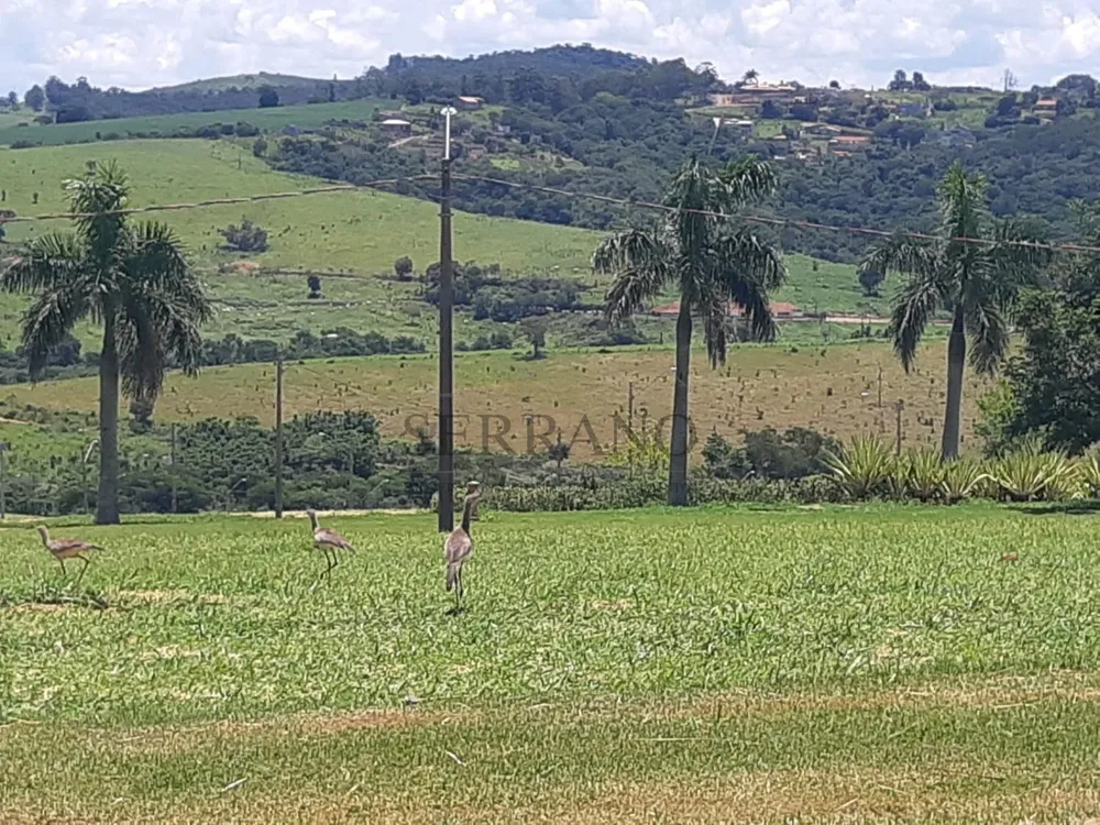 Loteamento e Condomínio, 1000 m² - Foto 7