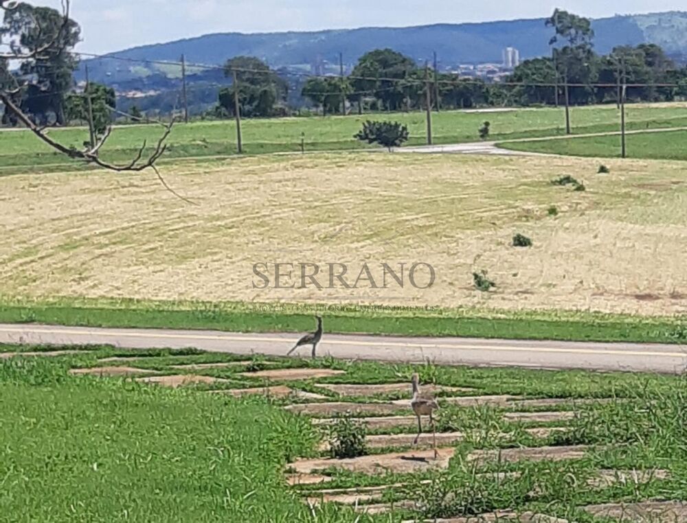 Loteamento e Condomínio, 1000 m² - Foto 4