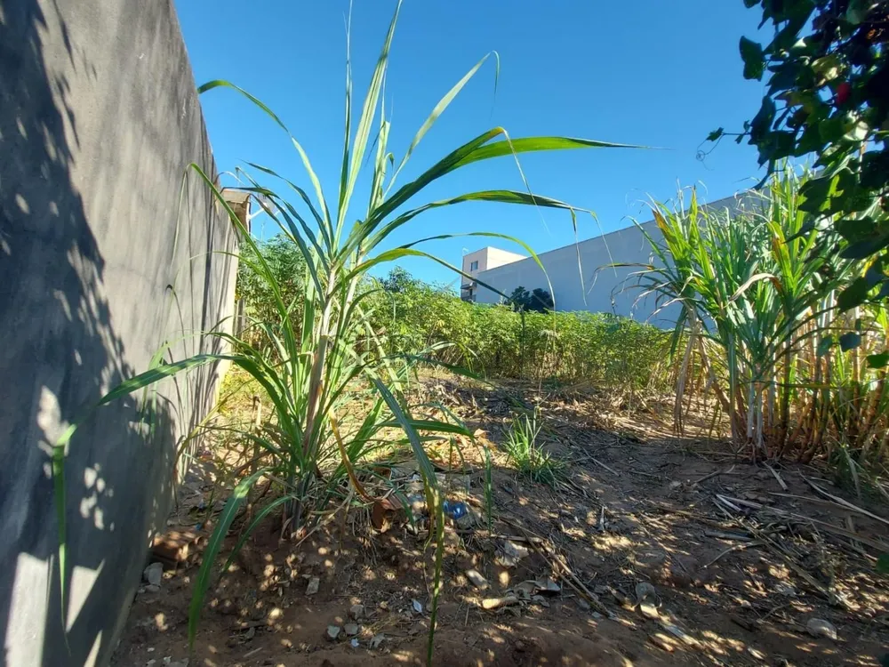 Loteamento e Condomínio, 600 m² - Foto 7