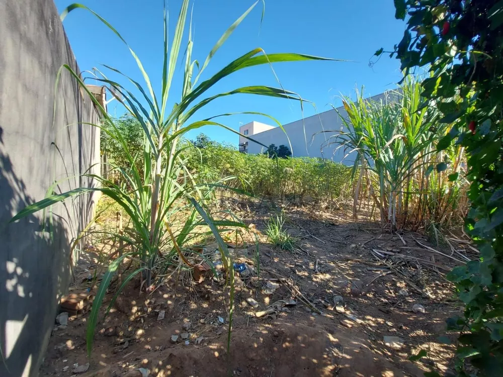 Loteamento e Condomínio para alugar, 600m² - Foto 2