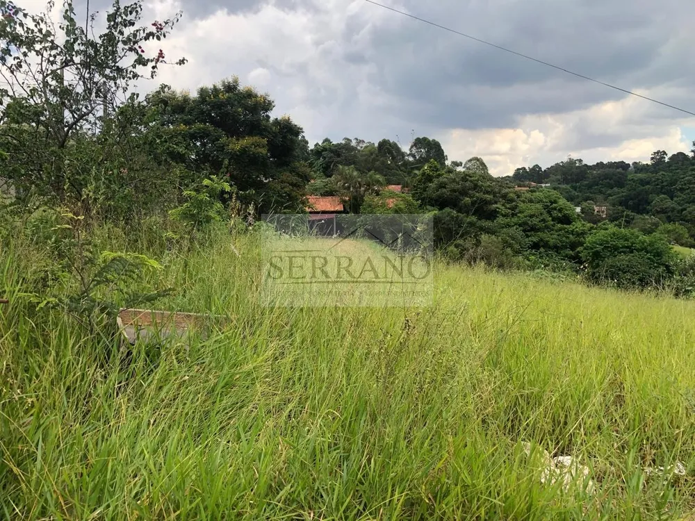 Terreno, 6100 m² - Foto 10