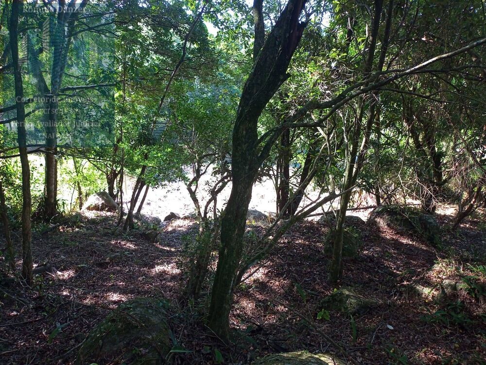 Terreno, 1575 m² - Foto 4