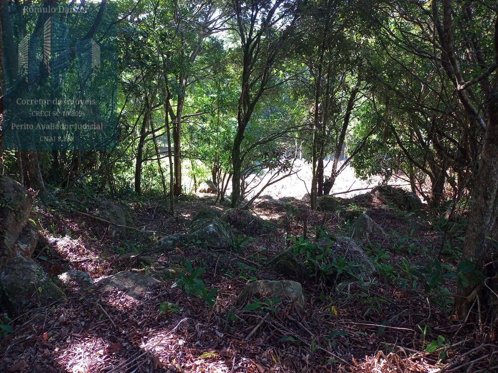 Terreno, 1575 m² - Foto 2