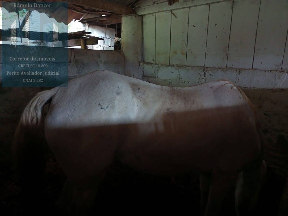 Sítio, 2 quartos, 1 hectares - Foto 1