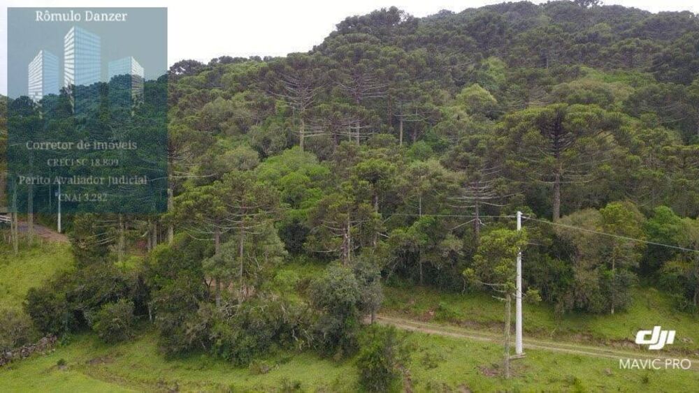 Terreno, 10000 m² - Foto 1